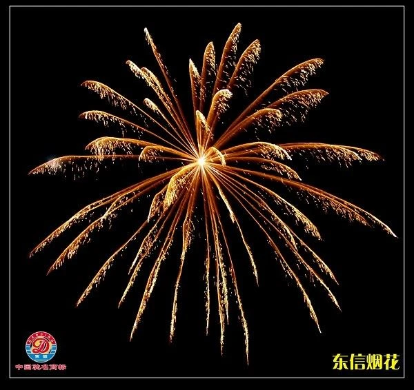 China High Quality Display Shell Fireworks Manufacturer